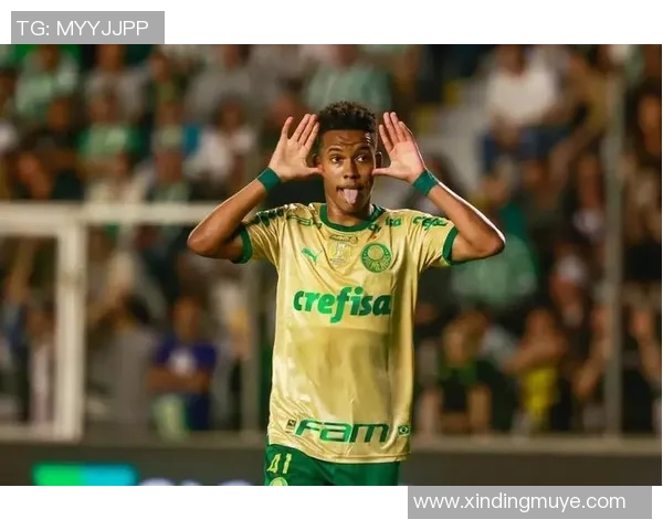 埃斯特旺再创佳绩荣膺巴西队对阵韩国最佳球员称号 埃斯特旺再创佳绩荣膺巴西队对阵韩国最佳球员称号