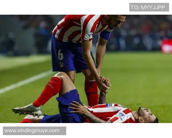 熊出没惊险一幕前马竞前锋科雷亚抱女儿遭遇野生熊袭击