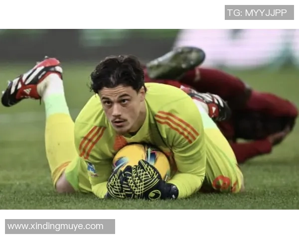 意甲门将身价最新排行卡内塞基斯维拉尔迈尼昂并列第一